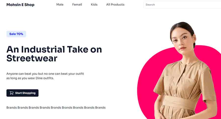 I will build a custom web application for startups using modern development practices